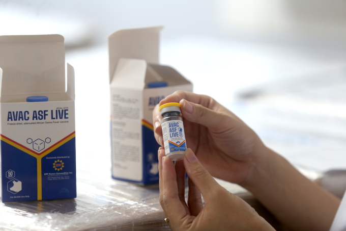 Lô vaccine xuất khẩu sang Philippines. Ảnh: Gia Chính