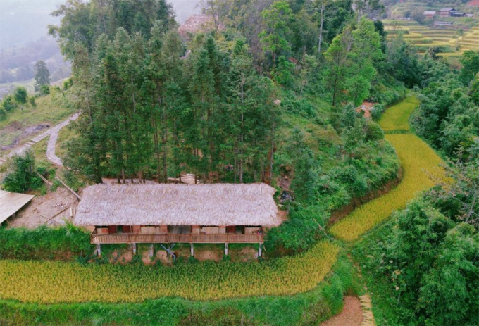 5 homestay nằm giữa cánh đồng lúa Hoàng Su Phì - 1