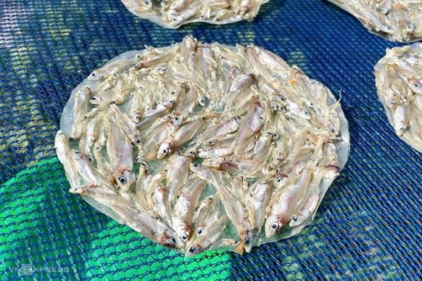 Cá cơm sông Sê San: Đặc sản nhỏ bé, hương vị lớn