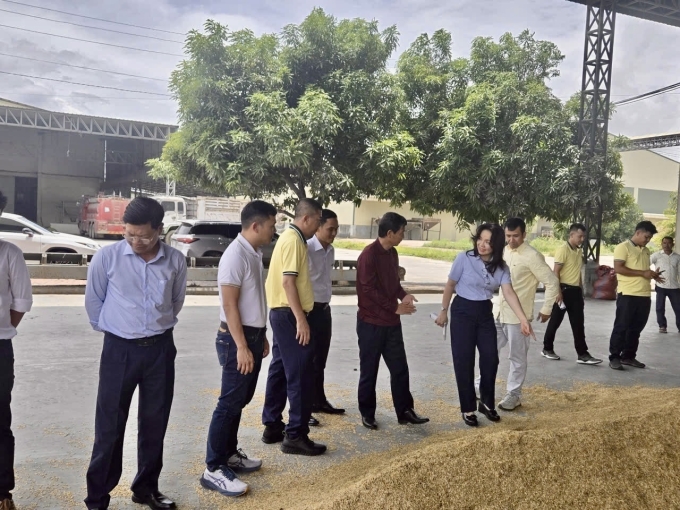 Phó tổng giám đốc Nguyễn Thị Hiền cùng đoàn công tác trao đổi trực tiếp với đối tác về chất lượng nguyên liệu, tập quán canh tác của nông dân Campuchia. Ảnh: PVCFC
