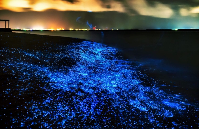 Biển đêm ma thuật ở Maldives không tồn tại cố định ở một nơi. Ảnh: ar.inspiredpencil