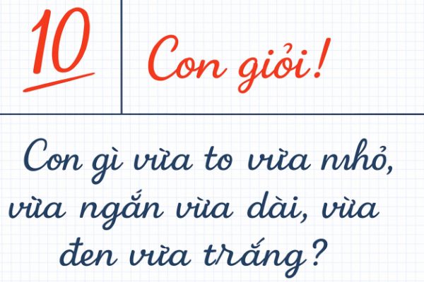Đố vui: Con gì vừa to nhỏ, ngắn dài, đen trắng?