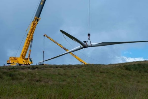 Tái Chế Cánh Quạt Turbine Gió: Cuộc Đua Mới