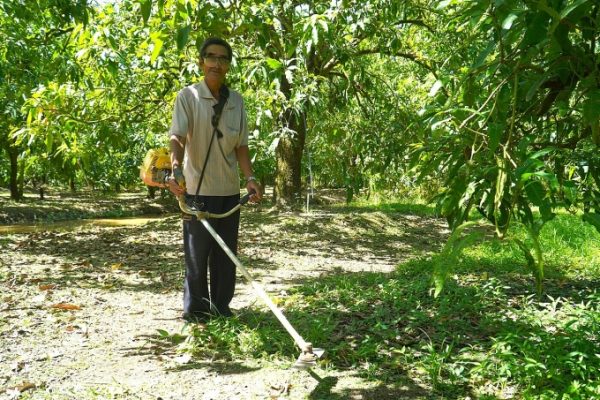Miền Tây: Nỗi lo không người kế nghiệp nhà nông