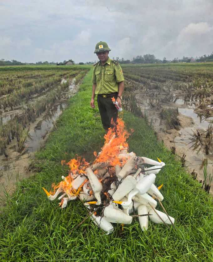 Cán bộ Hạt kiểm lâm Diễn Châu tiêu hủy chim giả ngay tại ruộng hồi giữa tháng 9. Ảnh: Hùng Lê