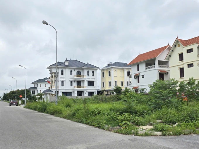 Lô đất cỏ mọc hoang dại nằm cạnh những ngôi nhà tiền tỷ không có sổ đỏ, dù người dân đã mua, đóng nghĩa vụ tài chính đầy đủ. Ảnh: Tùng Lâm