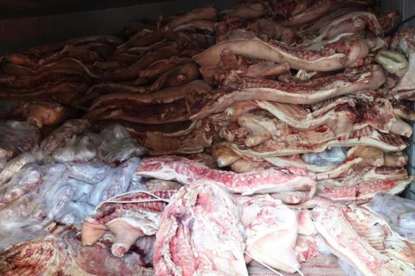 38 tấn thịt lợn nhiễm dịch tả châu Phi bị phát hiện tại lò mổ