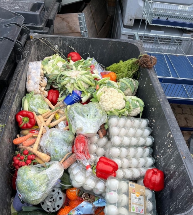 Rau củ được Lenka tìm thấy khi lục thùng rác. Ảnh: dumpsterdivingdivaa