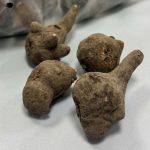 Uống củ ấu tàu chữa khớp: Nguy cơ suýt mất mạng!