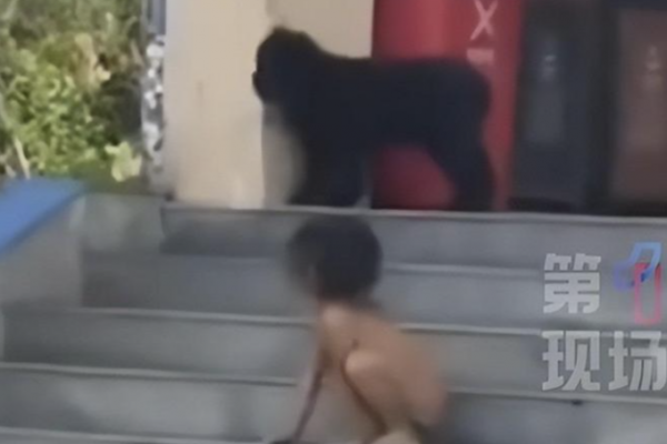 Vợ chồng gây tranh cãi với kiểu nuôi con “thuận tự nhiên”