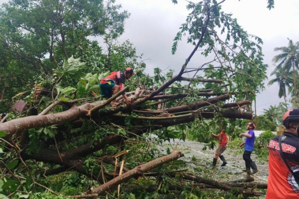 Bão Fengshen: Hàng ngàn người Philippines sơ tán khẩn cấp