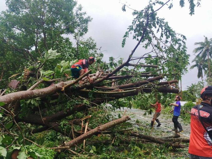 Cây đổ trên đường phố do bão Bualoi tại Palanas, tỉnh Masbate, Philippines, hôm 26/9. Ảnh: AFP