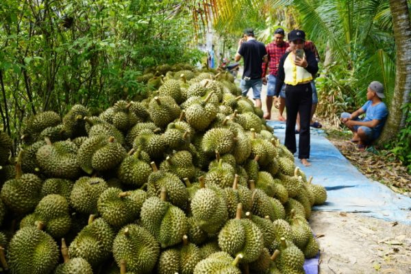 Xuất khẩu rau quả: Trung Quốc chi 1 tỷ USD nhập hàng Việt tháng 9