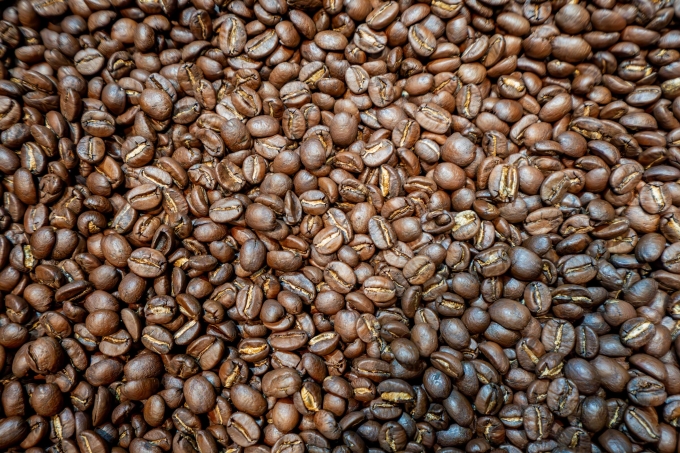 Arabica và Robusta canh tác tại tỉnh Lâm Đồng được chứng nhận Chỉ dẫn địa lý. Ảnh: Hoàng Giang