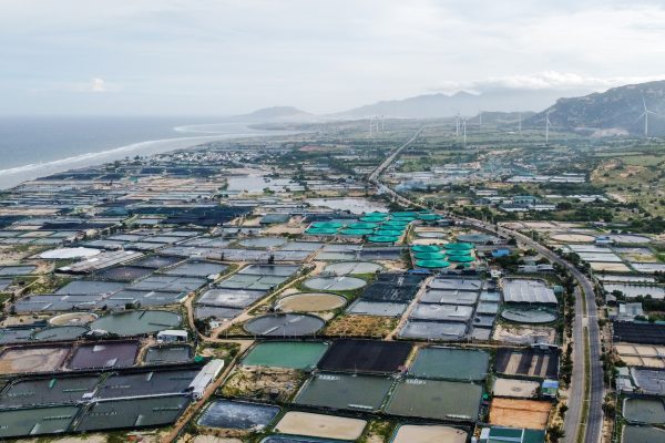 Đất ven biển: Dự án nhà máy điện hạt nhân tiềm năng