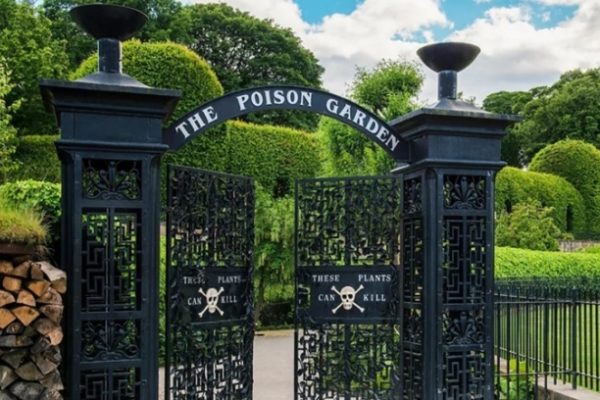 Khám phá khu vườn độc dược nguy hiểm nhất thế giới