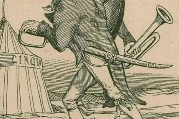 Ảo ảnh thị giác: Con voi “tàng hình” gây sốt!