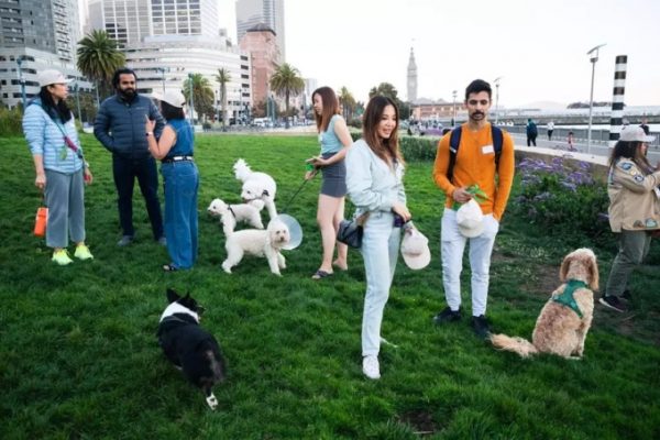 San Francisco: Người dân ngán ngẩm vì chó gây phiền toái nơi công cộng