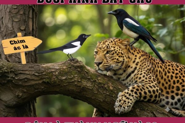 Ác là trên lưng báo: Câu thành ngữ gợi nhớ điều gì?