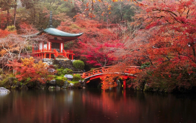 Nhật Bản vào thu. Ảnh: Wallpaper
