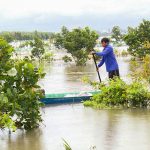 Miền Tây: Nhà vườn bạc tỷ điêu đứng sau triều cường lịch sử