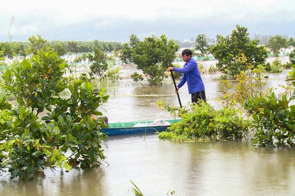 Miền Tây: Nhà vườn bạc tỷ điêu đứng sau triều cường lịch sử