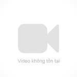 Tai nạn xe đua: 4 nhiếp ảnh gia bị thương vì xe đâm rào chắn