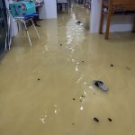 Lũ lụt sông Thu Bồn: Ba má tôi và thử thách tuổi già