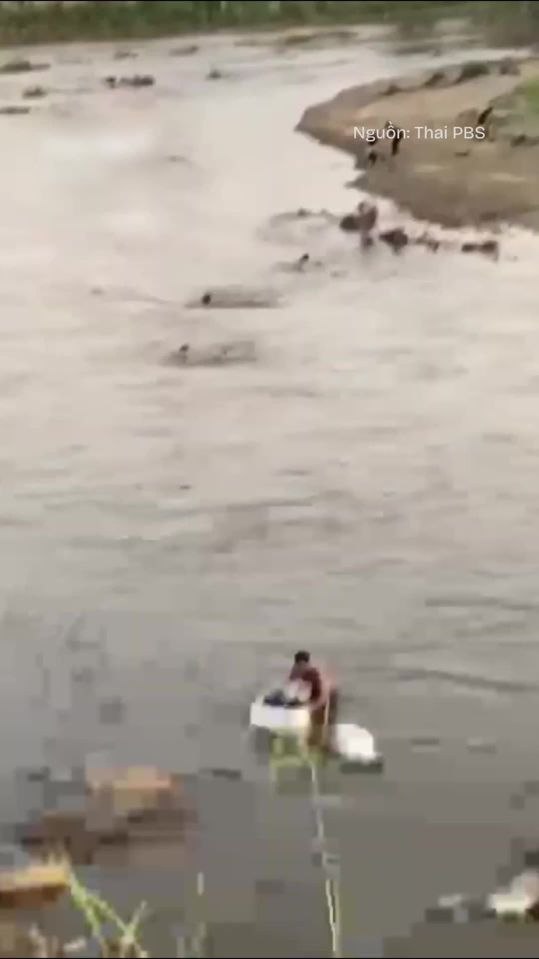 Ôm thùng xốp vượt sông Moei sau đột kích KK Park