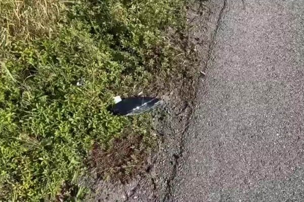 Tai nạn thương tâm: Thủ môn Inter Milan gây tai nạn chết người