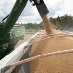 Trung Quốc Tái Nhập Khẩu Đậu Nành Mỹ Sau Thời Gian Dài