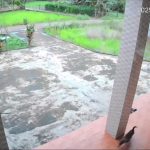 Nổ lớn ở Quảng Trị: Ruộng lúa tan hoang