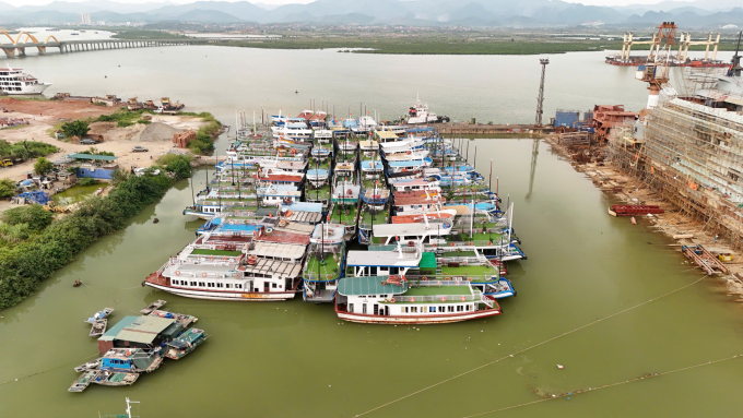 Tàu du lịch di chuyển từ cảng tàu quốc tế về vùng nước cạnh Nhà máy đóng tàu Hạ Long để tránh trú bão. Ảnh: Lê Tân