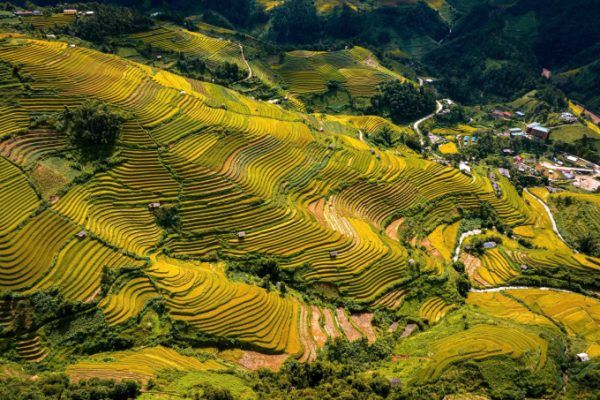 Việt Nam: 7 lần đạt giải điểm đến hàng đầu châu Á