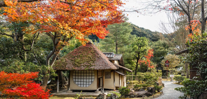 Mùa thu là thời điểm đông khách quốc tế và nội địa tại Nhật Bản. Ảnh: Views from Japan