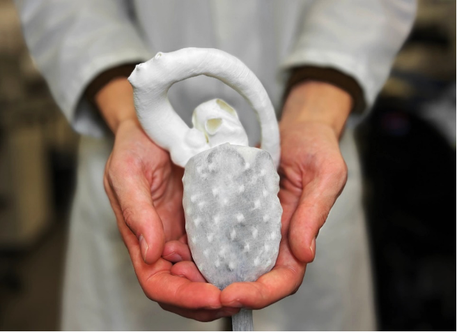 Trong sự kiện của VinFuture, PGS. TS Đỗ Thanh Nhỏ sẽ giới thiệu về hoạt động của trái tim nhân tạo mềm có khả năng đập do ông nghiên cứu. Ảnh: UNSW