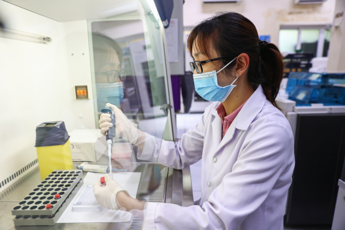Bác sĩ, nhân viên y tế Viện Pasteur TP HCM nghiên cứu, xét nghiệm, tháng 8/2025. Ảnh: Quỳnh Trần