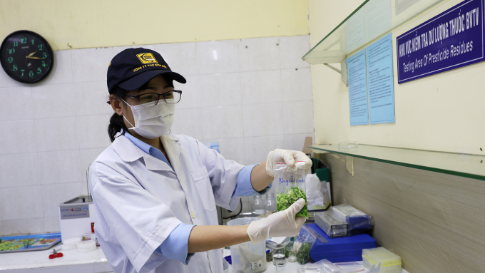 Công ty Chợ Bình Điền test nhanh sản phẩm rau củ quả trong ngày. Ảnh: SATRA