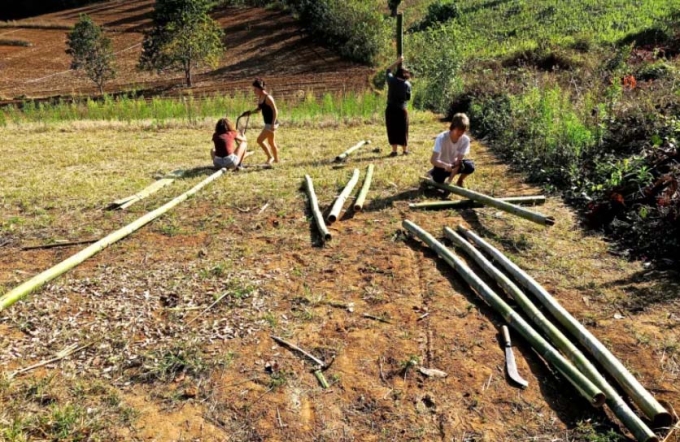 Một nhóm du khách đang làm việc trên cánh đồng ở Thái Lan. Ảnh: CNN
