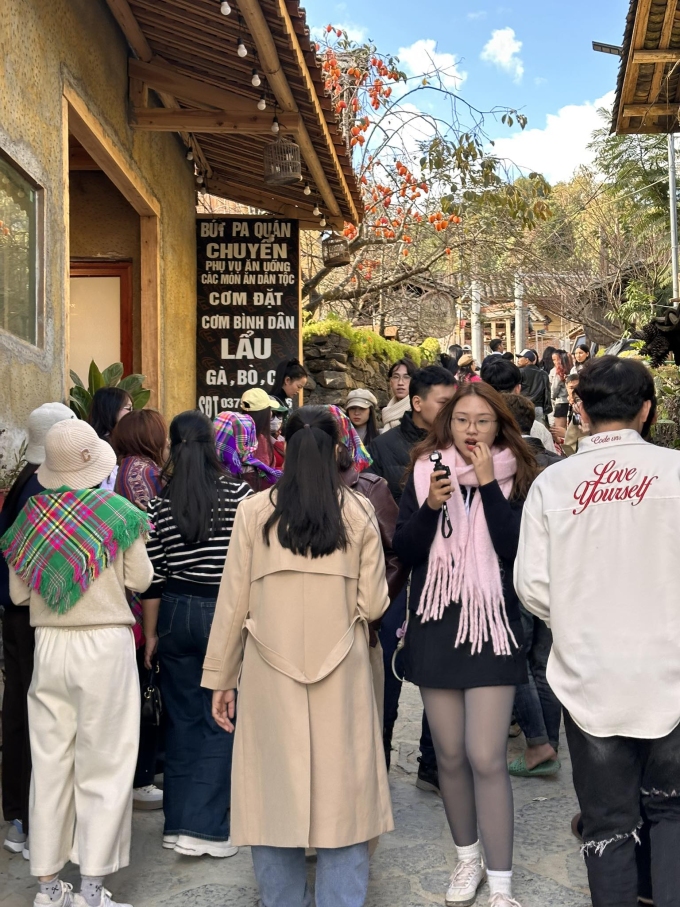 Khách du lịch chụp ảnh check in tại cây hồng ở Lô Lô Chải. Ảnh: Tí Lầu