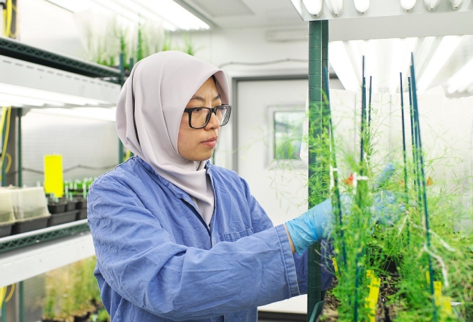 Ảnh 2. TS. Nadia Radzman sẽ mang đến những kinh nghiệm thực tiễn từ các nghiên cứu và dự án của bà trong lĩnh vực nông nghiệp và thực phẩm tại Tuần lễ Khoa học Công nghệ VinFuture năm nay. Ảnh: IE Cambridge.