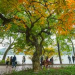 Hà Nội: Top thành phố thân thiện nhất thế giới 2025 (bình chọn)