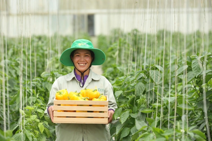 Trang trại rau WinEco. Ảnh: Masan