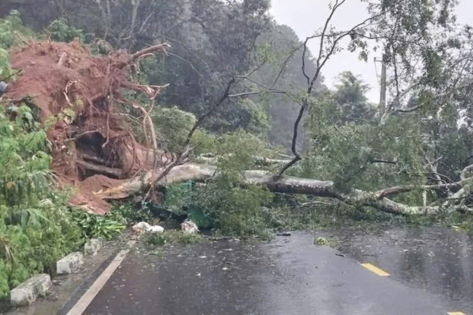 Đất đá, cây đổ chắn ngang đường đèo. Ảnh: Hoài Thanh