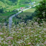 Tháng 11 nên đi đâu chơi để có trải nghiệm đáng nhớ?