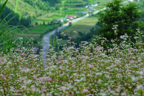 Tháng 11 nên đi đâu chơi để có trải nghiệm đáng nhớ?
