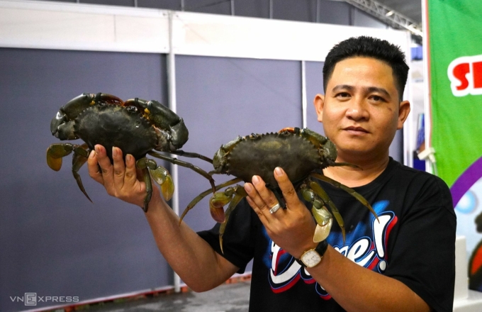 Cua Cà Mau được trưng bày tại không gian trưng bày, triển lãm ngành cua. Ảnh: Chúc Ly