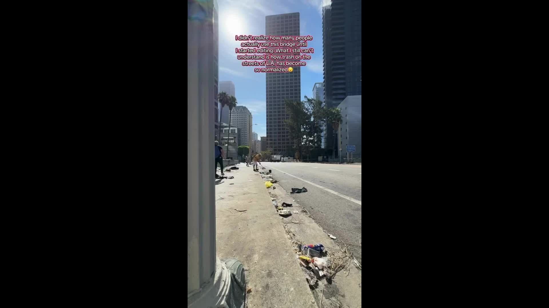 Nghỉ việc để dọn rác, thu hút hàng trăm người tham gia