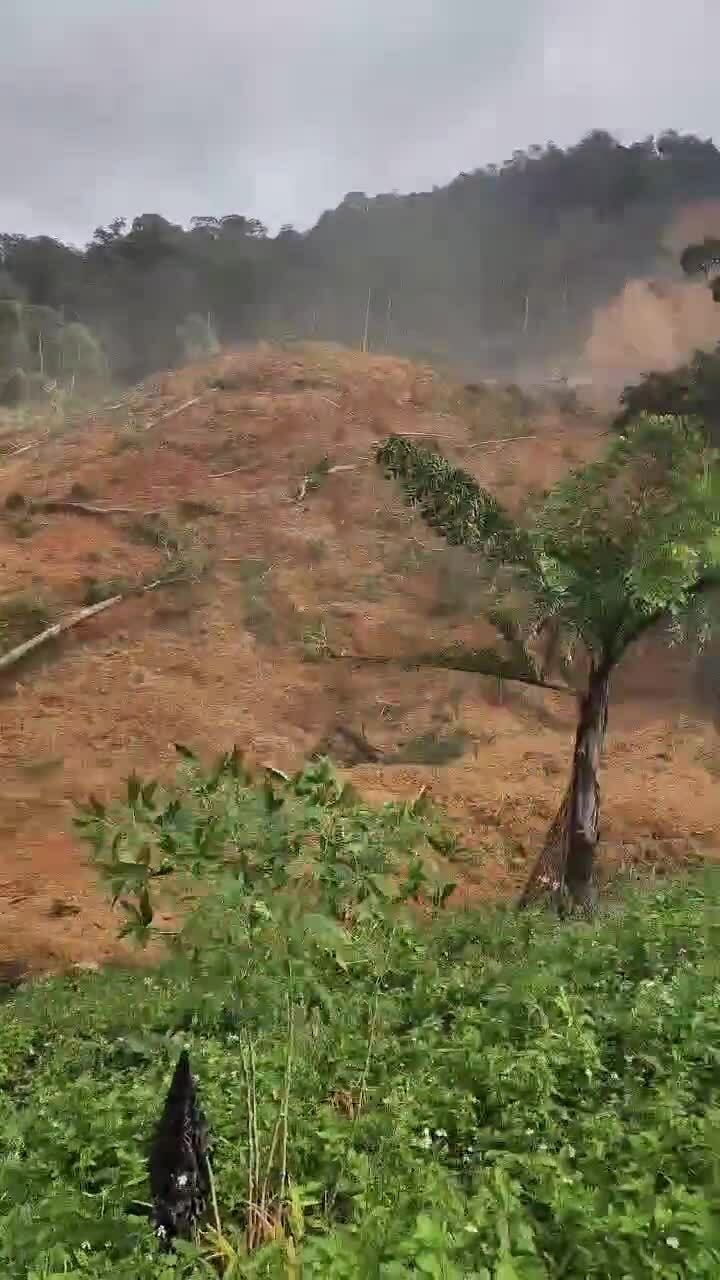 Sạt lở lớn vùi lấp nhiều nhà rẫy, ba người mất liên lạc