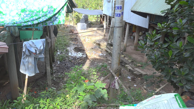 Phần đất của hai gia đình ông Tùng và ông Nhơn, tại xã Phú Thọ, tỉnh Đồng Tháp. Ảnh: Thanh Thảo